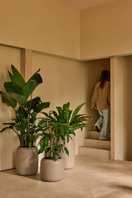 amber beads small 40cm greige